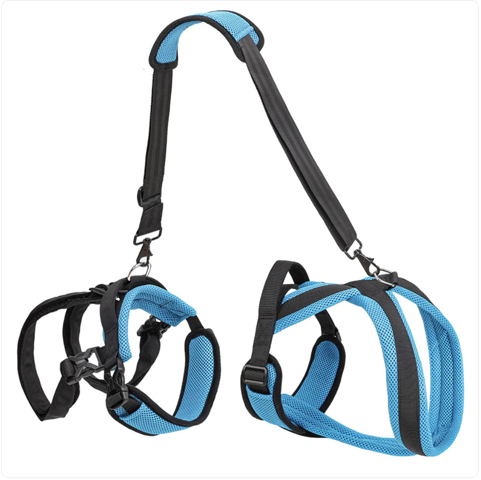 Dog Support Harness with Lifting Strap – Adjustable Mobility Assistance Harness for Walking, Recovery & Senior Dogs
