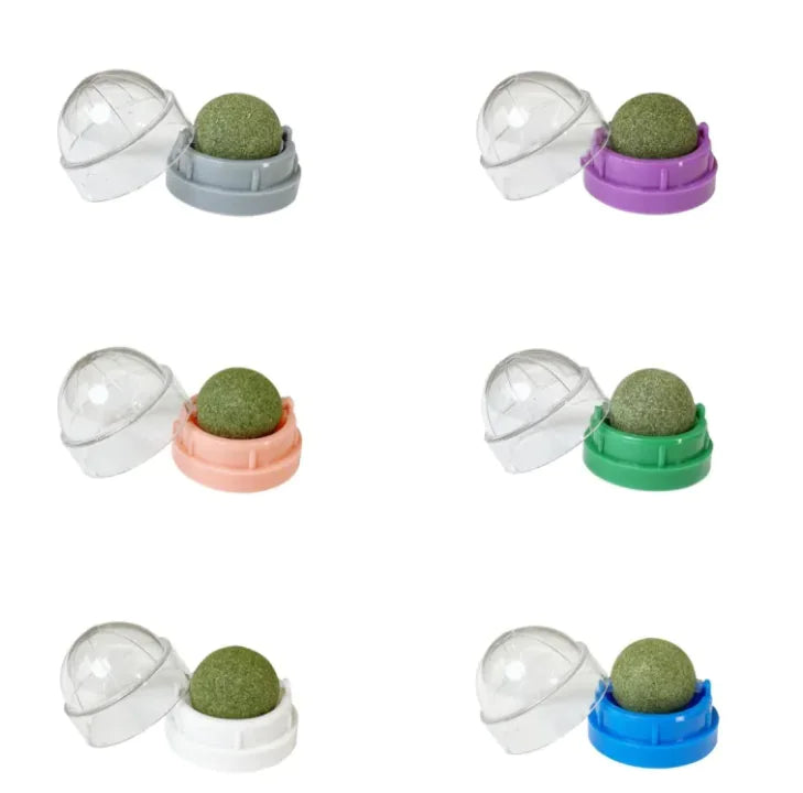 Catnip Ball Cat Toy with Wall Mount – Self-Play Licking & Enrichment Toy
