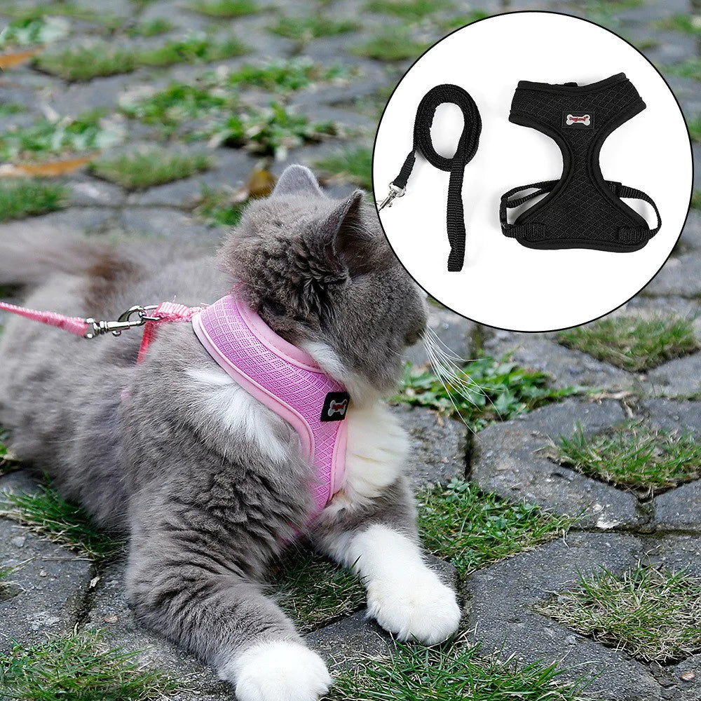 Escape-Resistant Cat Harness with Leash – Breathable Mesh Anti-Slip Harness for Walking & Outdoor Use