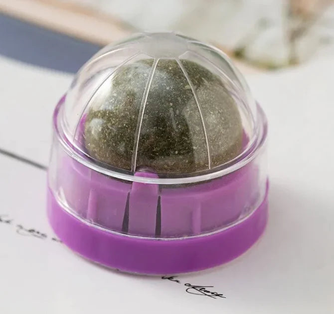 Catnip Ball Cat Toy with Wall Mount – Self-Play Licking & Enrichment Toy