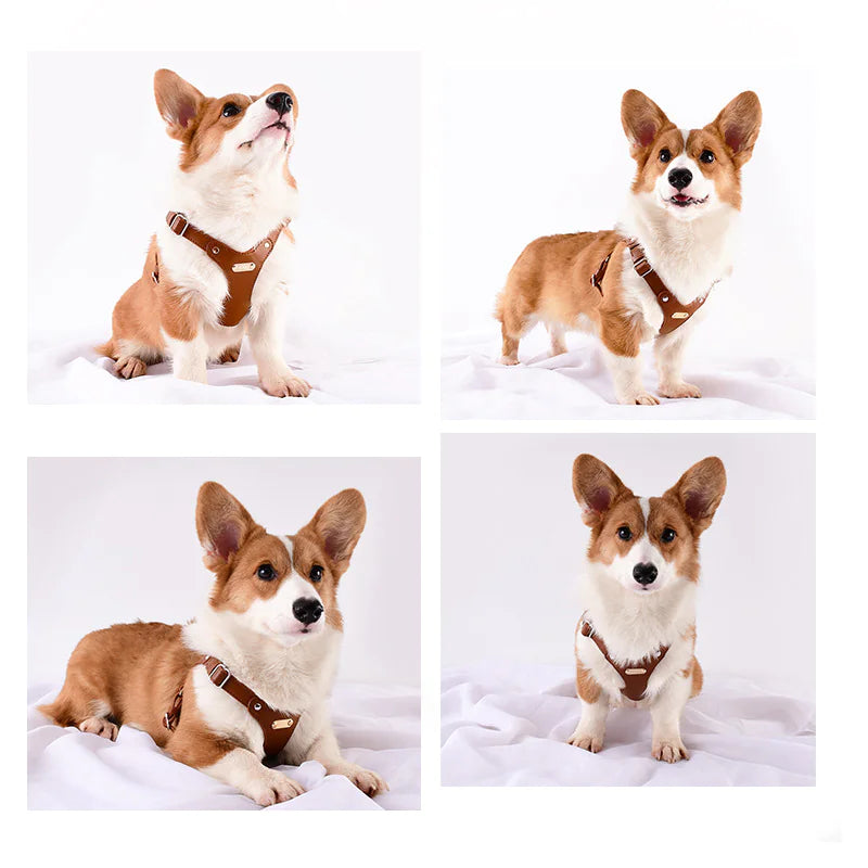 Faux Leather Dog Chest and Back Harness – Lightweight Chest Strap Harness for Small to Medium Dogs (Sizes S–L)
