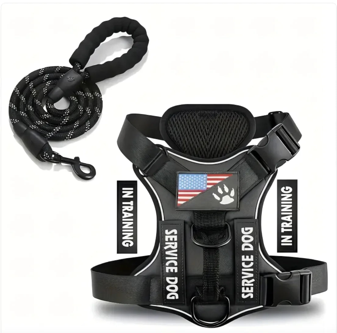 Adjustable Dog Harness and Leash Set for Small to XL Dogs – Secure Nylon Harness for Daily Walks & Training