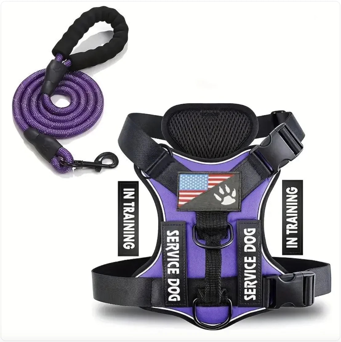 Adjustable Dog Harness and Leash Set for Small to XL Dogs – Secure Nylon Harness for Daily Walks & Training