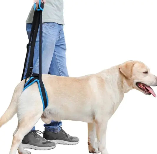 Dog Leg Strap Walking Support – Adjustable Pet Mobility Support Harness