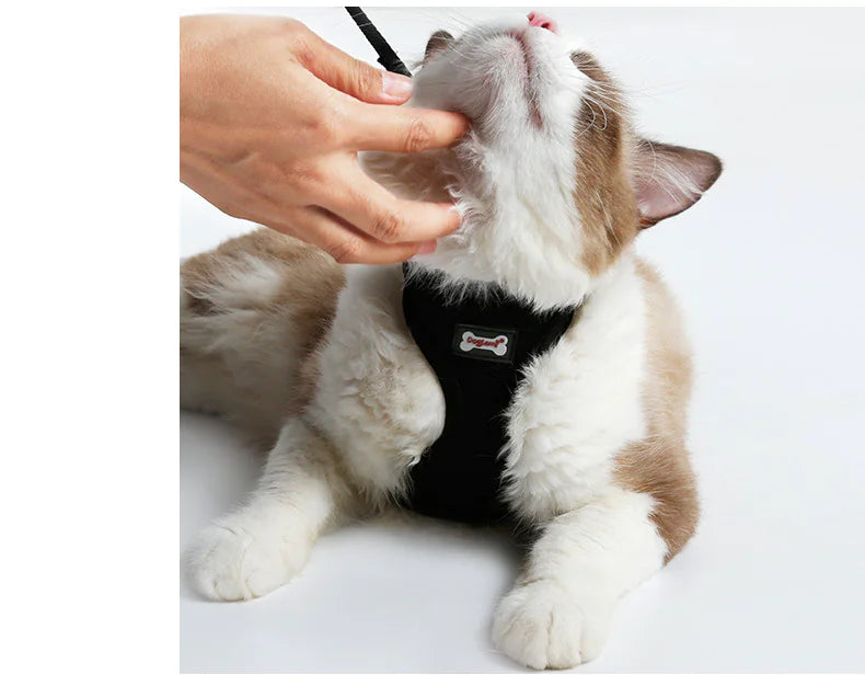 Escape-Resistant Cat Harness with Leash – Breathable Mesh Anti-Slip Harness for Walking & Outdoor Use