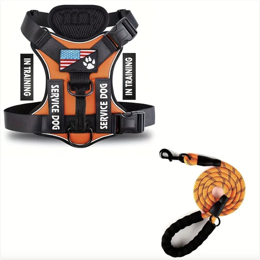 Adjustable Dog Harness and Leash Set for Small to XL Dogs – Secure Nylon Harness for Daily Walks & Training