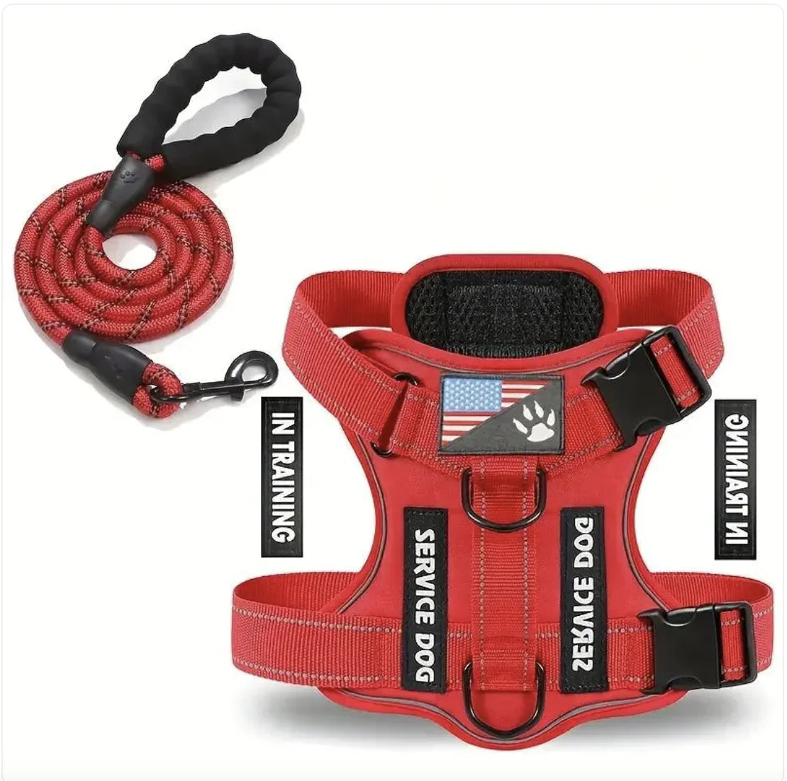 Adjustable Dog Harness and Leash Set for Small to XL Dogs – Secure Nylon Harness for Daily Walks & Training