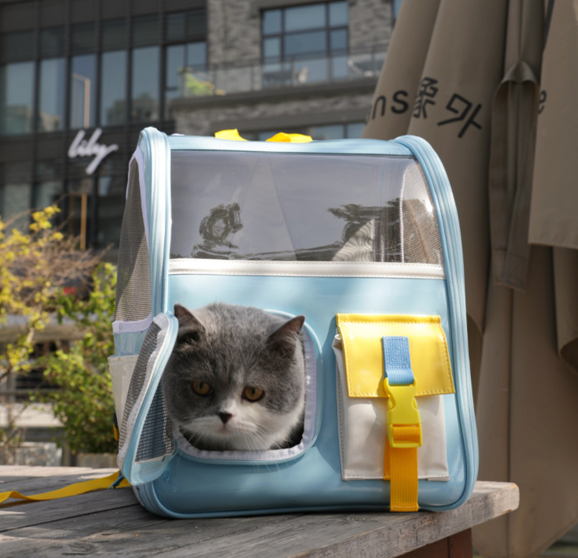 Portable Transparent Pet Backpack – Travel Carrier for Cats and Small Pets