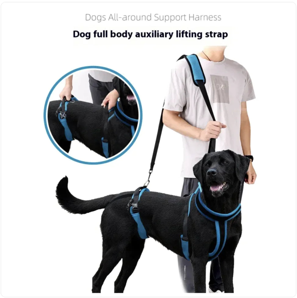 Dog Support Harness with Lifting Strap – Adjustable Mobility Assistance Harness for Walking, Recovery & Senior Dogs
