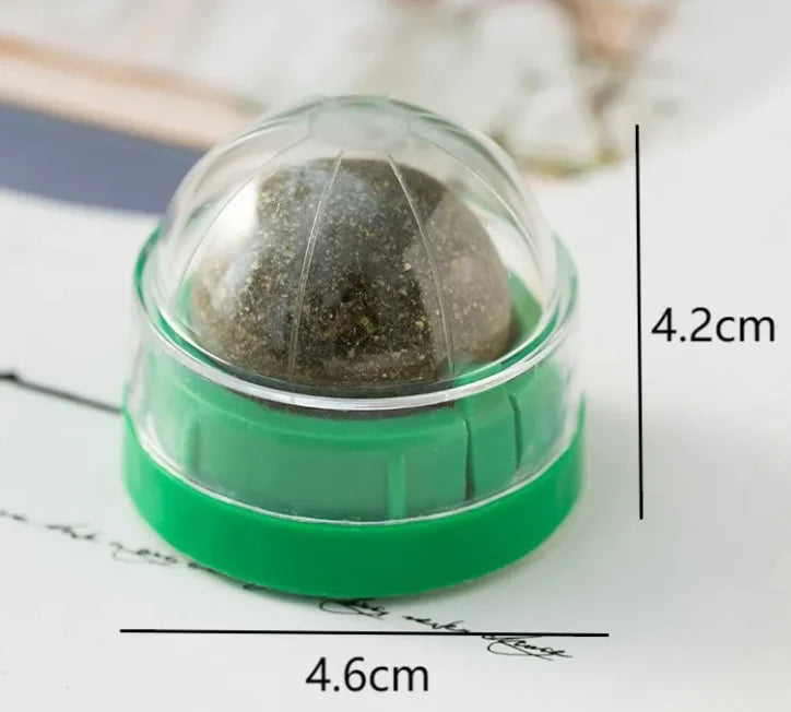 Catnip Ball Cat Toy with Wall Mount – Self-Play Licking & Enrichment Toy