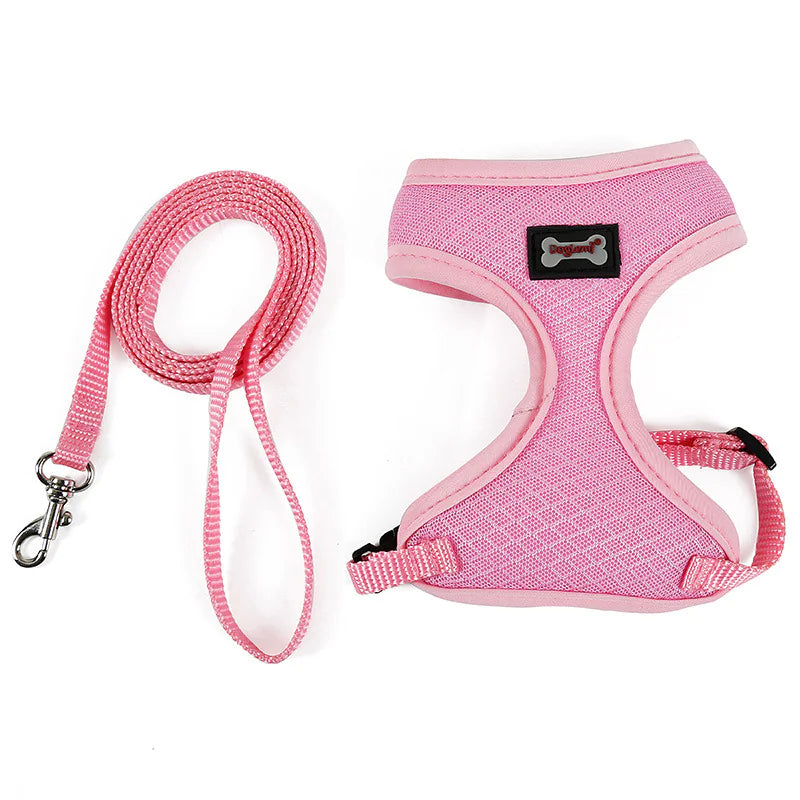Escape-Resistant Cat Harness with Leash – Breathable Mesh Anti-Slip Harness for Walking & Outdoor Use