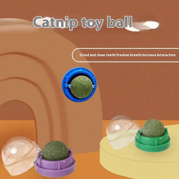 Catnip Ball Cat Toy with Wall Mount – Self-Play Licking & Enrichment Toy