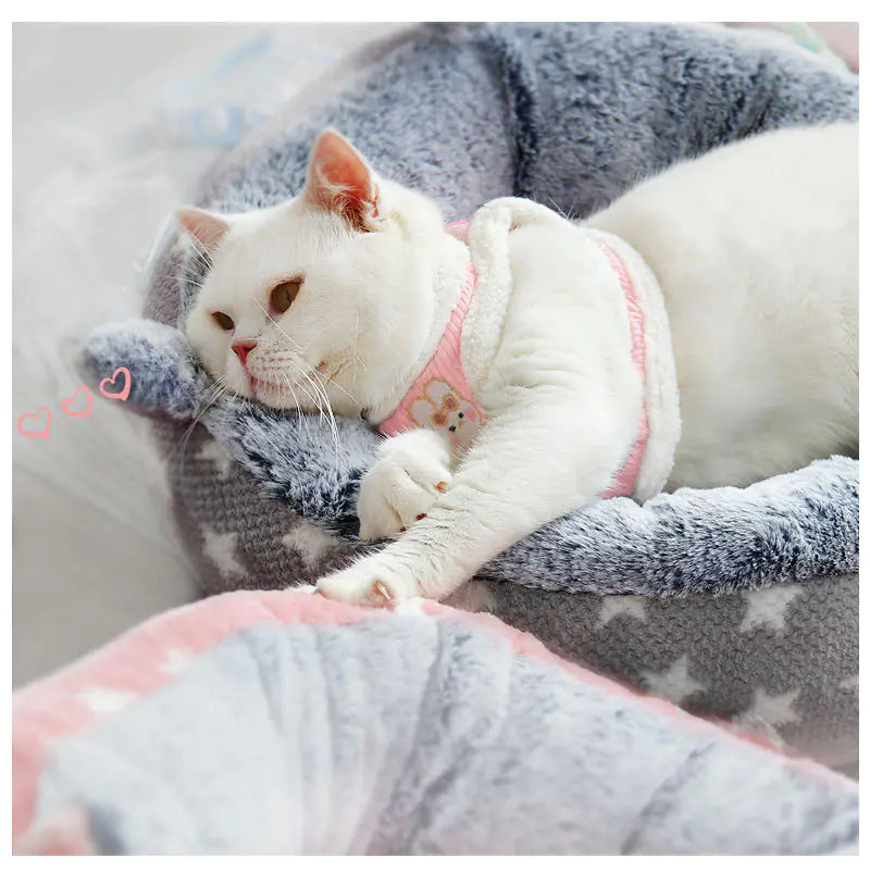 Pet Vest Harness and Leash Set for Small Dogs & Cats – Adjustable Soft Vest Harness for Daily Walks