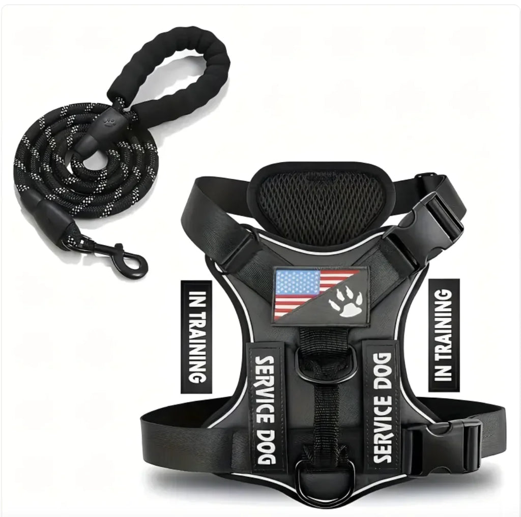 Adjustable Dog Harness and Leash Set for Small to XL Dogs – Secure Nylon Harness for Daily Walks & Training