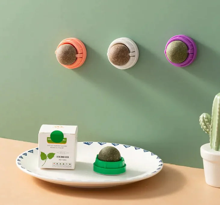 Catnip Ball Cat Toy with Wall Mount – Self-Play Licking & Enrichment Toy