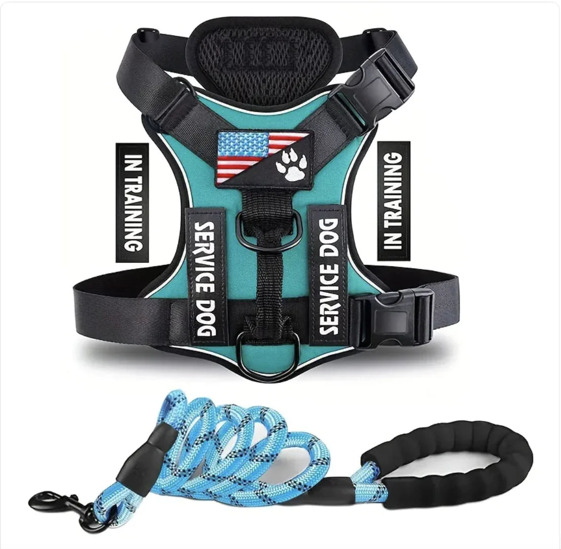 Adjustable Dog Harness and Leash Set for Small to XL Dogs – Secure Nylon Harness for Daily Walks & Training