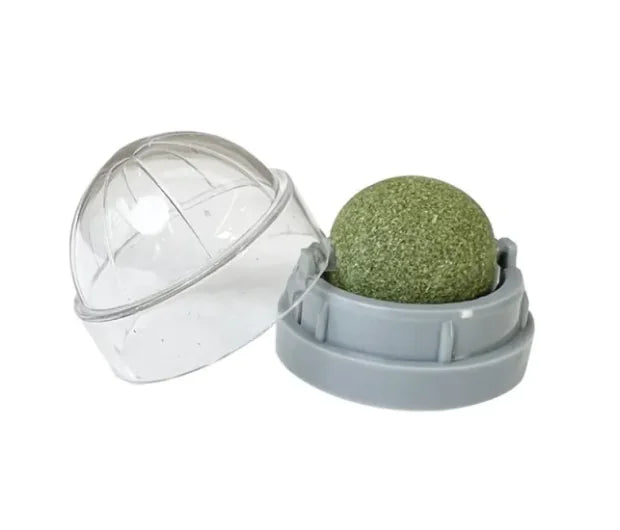 Catnip Ball Cat Toy with Wall Mount – Self-Play Licking & Enrichment Toy