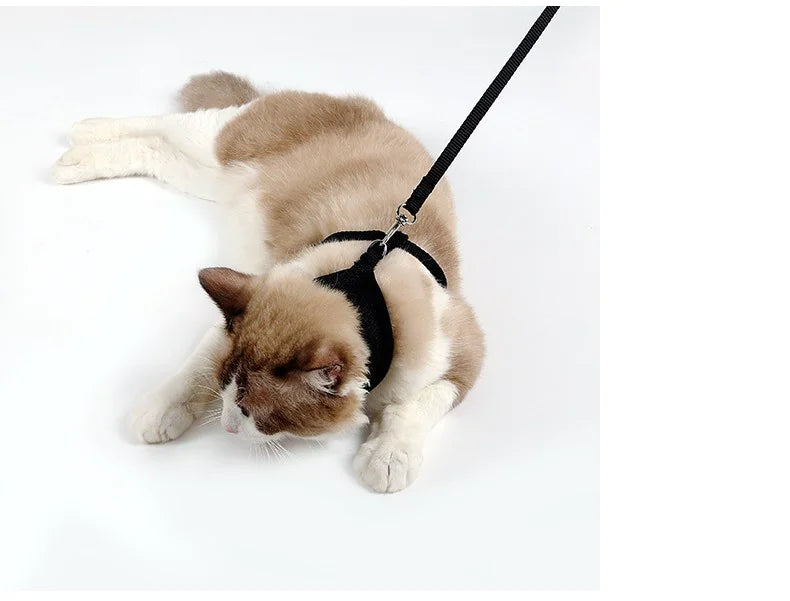 Escape-Resistant Cat Harness with Leash – Breathable Mesh Anti-Slip Harness for Walking & Outdoor Use