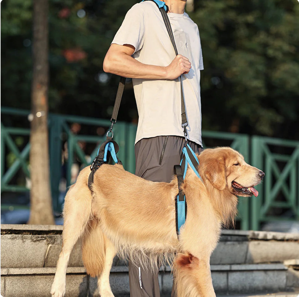 Dog Support Harness with Lifting Strap – Adjustable Mobility Assistance Harness for Walking, Recovery & Senior Dogs